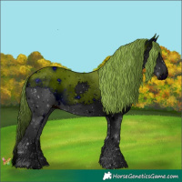 Horse Color:ERROR: UNKNOWN ANOMALY