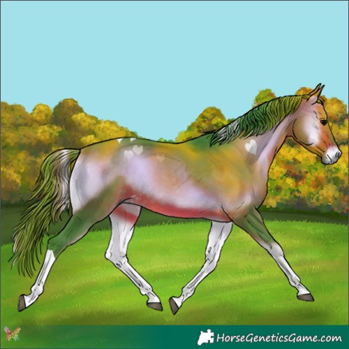Horse Color:Watercolor Brown Onyx Tobiano