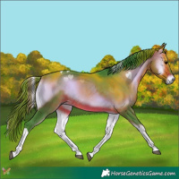 Horse Color:Watercolor Brown Onyx Tobiano 