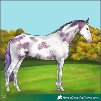 Horse Color:Nacre Watercolor Bay Onyx Splash Tobiano 