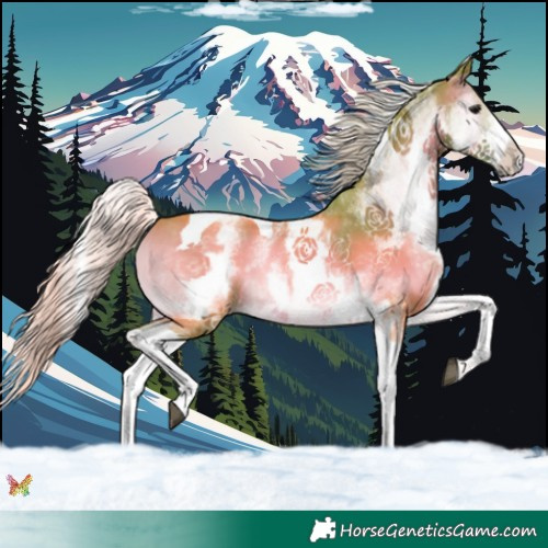 Horse Color:Watercolor White Spotted Silver Blue Onyx Tobiano 