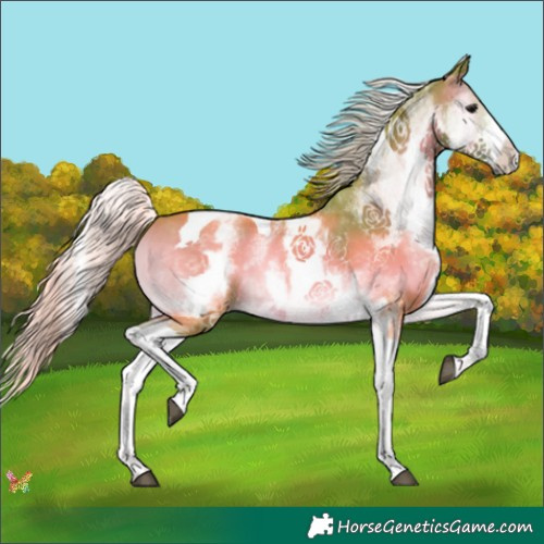 Horse Color:Watercolor White Spotted Silver Blue Onyx Tobiano 