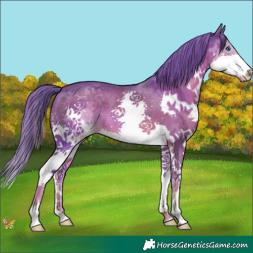 Horse Color:Watercolor Liver Chestnut Splash 