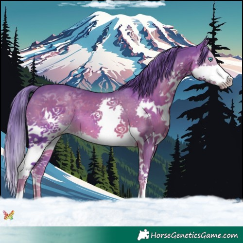 Horse Color:Watercolor Liver Chestnut Splash 