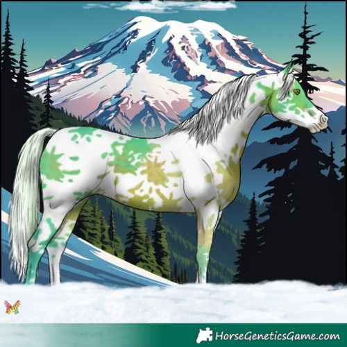 Horse Color:Watercolor Silver Brown Splash 