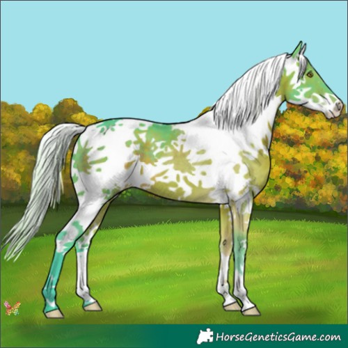 Horse Color:Watercolor Silver Brown Splash 