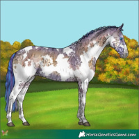 Horse Color:Painted Watercolor Blue Onyx Ice Splash Tobiano 