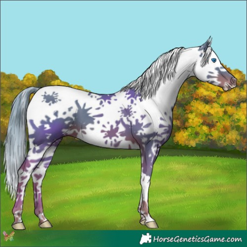 Horse Color:Watercolor White Spotted Liver Chestnut Splash Tobiano 