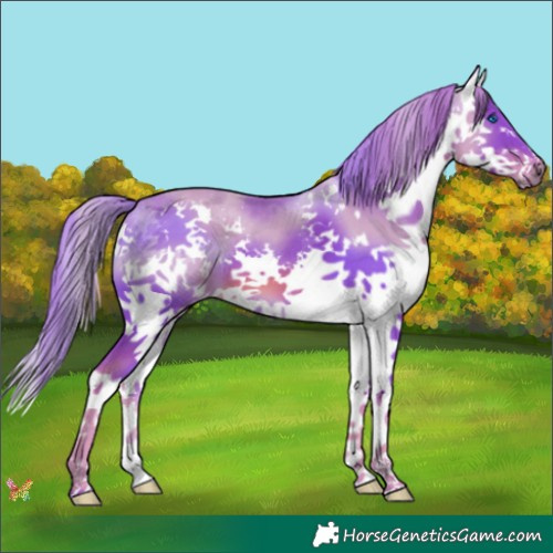 Horse Color:Watercolor Liver Chestnut Splash 