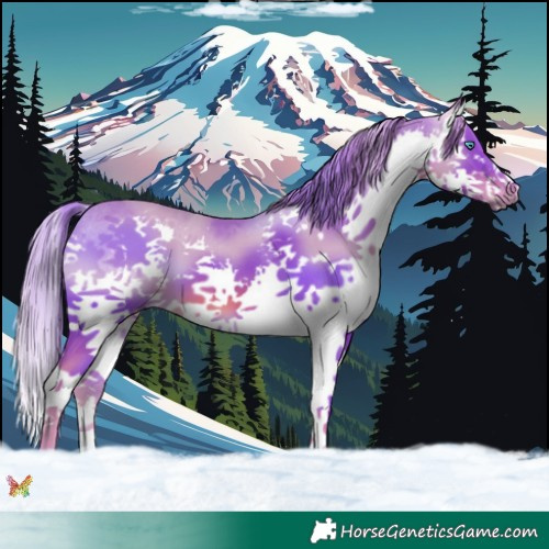 Horse Color:Watercolor Liver Chestnut Splash 