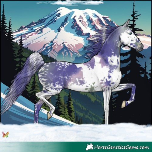 Horse Color:Watercolor Brown Splash Tobiano 