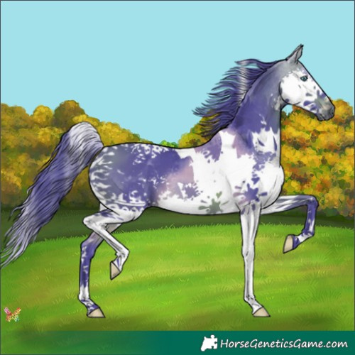 Horse Color:Watercolor Brown Splash Tobiano 