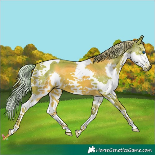 Horse Color:Watercolor Chestnut Splash Tobiano 