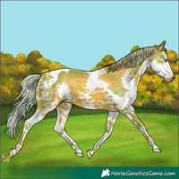 Horse Color:Watercolor Chestnut Splash Tobiano 