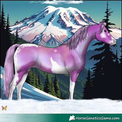 Horse Color:Watercolor Liver Red Onyx Tobiano 