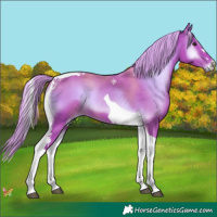 Horse Color:Watercolor Liver Red Onyx Tobiano 