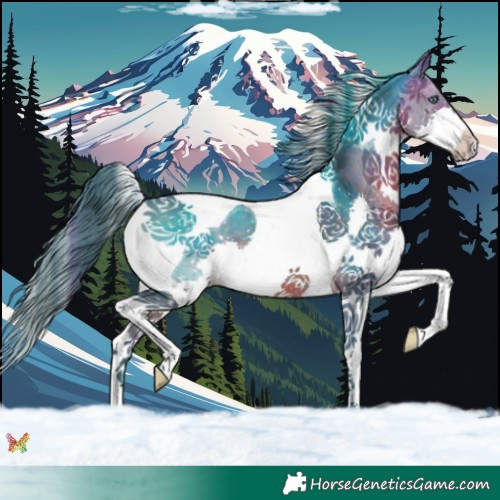 Horse Color:Watercolor Brown Splash Tobiano 