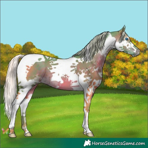 Horse Color:Watercolor Silver Brown Splash Tobiano 
