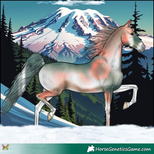 Horse Color:Platinum Watercolor Liver Red Onyx 