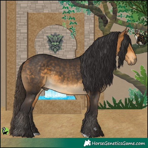 Horse Color:Buckskin 