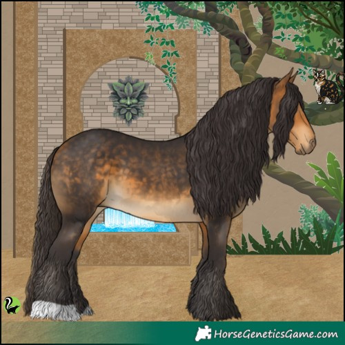 Horse Color:Buckskin 