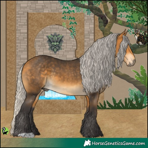 Horse Color:Silver Buckskin 