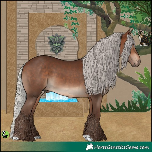 Horse Color:Silver Bay 