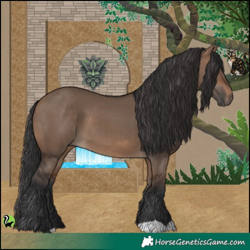 Horse Color:Brown Dun 