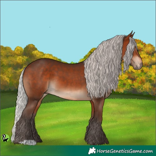 Horse Color:Silver Brown 