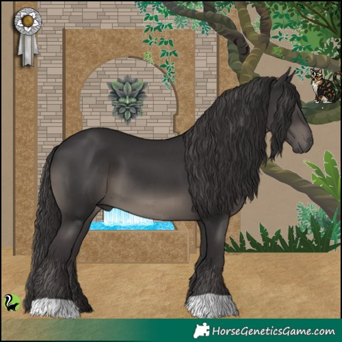 Horse Color:Smoky Black 