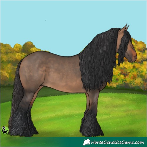Horse Color:Brown Dun 