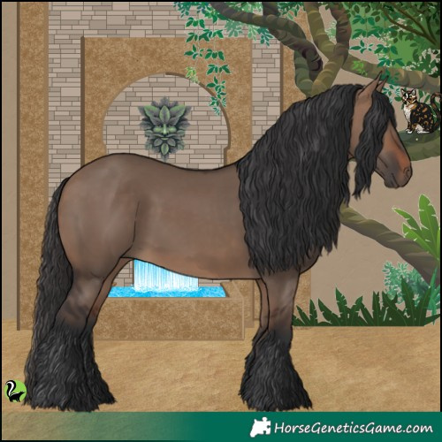 Horse Color:Brown Dun 