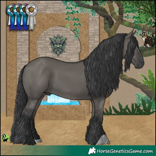 Horse Color:Grullo 