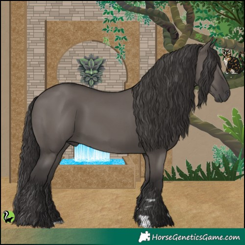 Horse Color:Smoky Grullo 