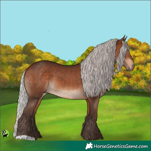 Horse Color:Silver Bay 