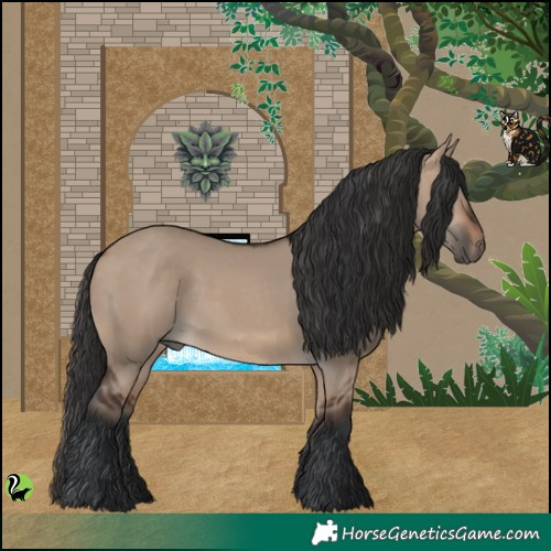 Horse Color:Brown Dun 