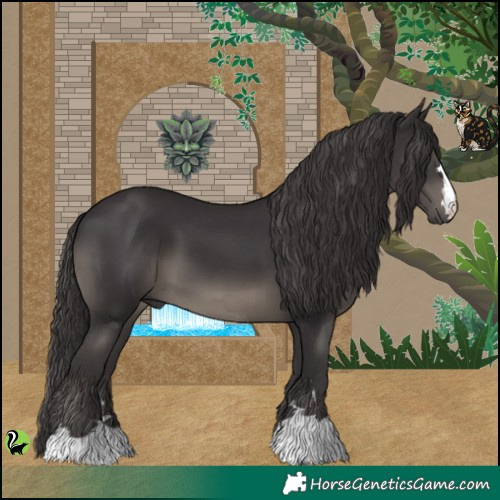 Horse Color:Smoky Black 