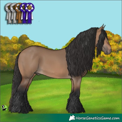 Horse Color:Brown Dun 