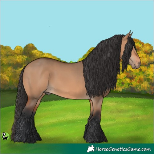 Horse Color:Brown Dun 