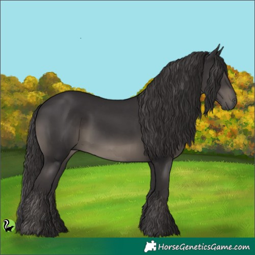 Horse Color:Smoky Black 