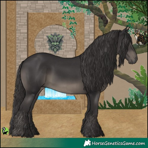 Horse Color:Smoky Black 