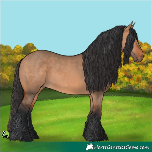 Horse Color:Brown Dun 