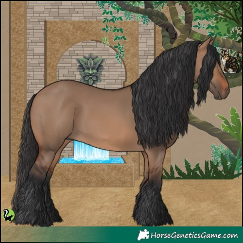 Horse Color:Brown Dun 