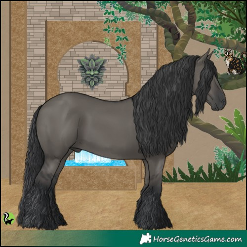 Horse Color:Grullo 