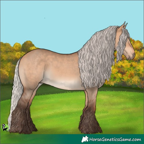 Horse Color:Silver Bay Dun 