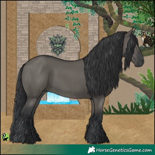 Horse Color:Grullo 