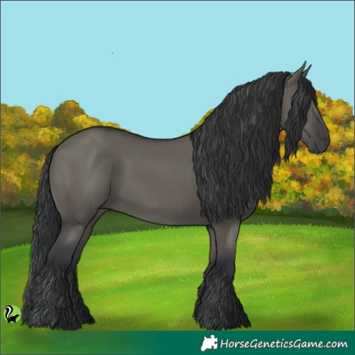 Horse Color:Grullo 