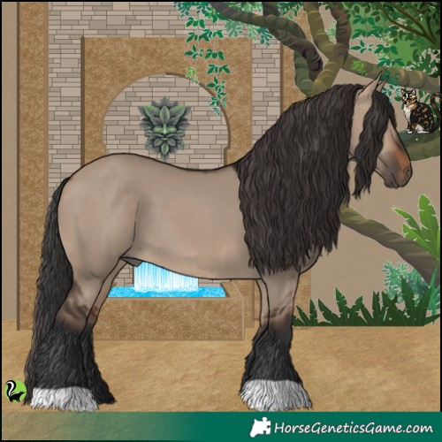 Horse Color:Brown Dun 