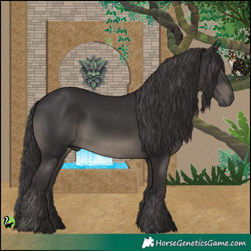Horse Color:Smoky Black 