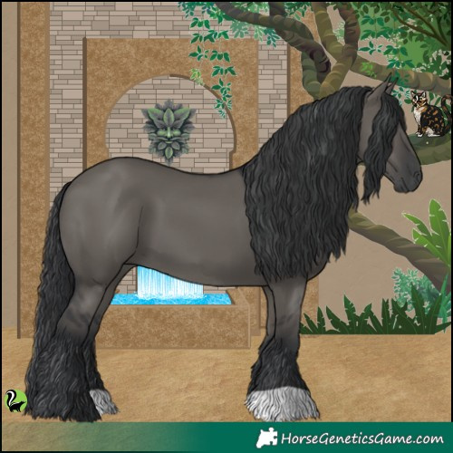 Horse Color:Grullo 